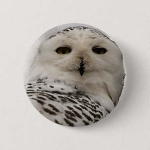 Badge Rond 5 Cm chouette enneigée
