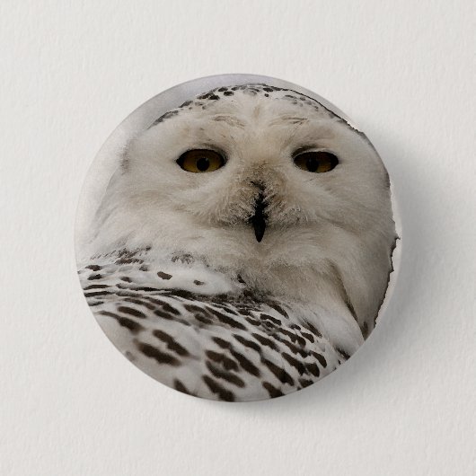 Badge Rond 5 Cm chouette enneigée (Devant)