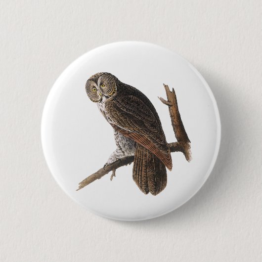 Badge Rond 5 Cm Chouette grise (Devant)