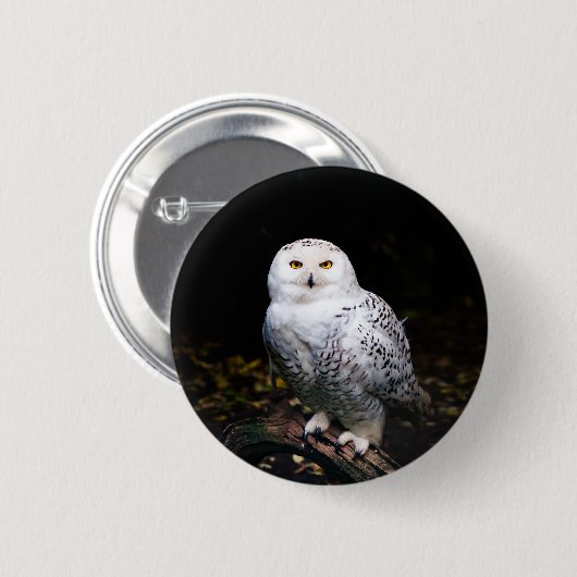 Badge Rond 5 Cm Chouette hivernale majestueuse (Devant & derrière)