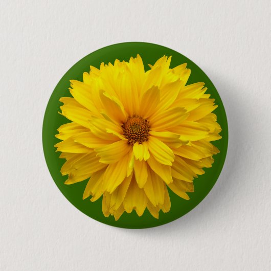 Badge Rond 5 Cm Chrysanthème - Vert (Devant)