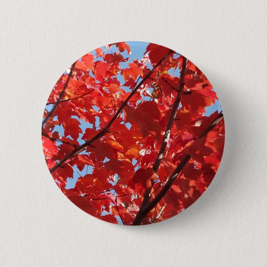 Badge Rond 5 Cm Chute rouge (Devant)