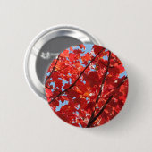 Badge Rond 5 Cm Chute rouge (Devant & derrière)