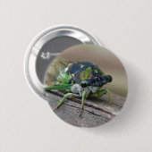 Badge Rond 5 Cm Cicada (Devant & derrière)