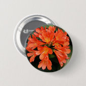Badge Rond 5 Cm Clivia Miniata - La Belle Fleur Orange (Devant & derrière)