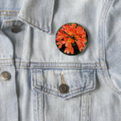 Badge Rond 5 Cm Clivia Miniata - La Belle Fleur Orange (En situation)