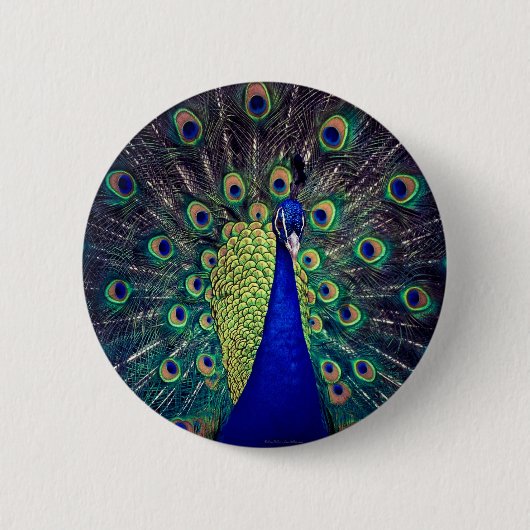 Badge Rond 5 Cm Cobalt Blue Peacock (Devant)