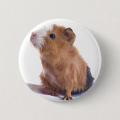 Badge Rond 5 Cm cobaye (Devant)