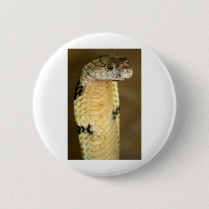 Badge Rond 5 Cm cobra de roi