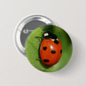 Badge Rond 5 Cm Coccinelle (Devant & derrière)