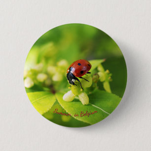 Badge Rond 5 Cm Coccinelle rouge été