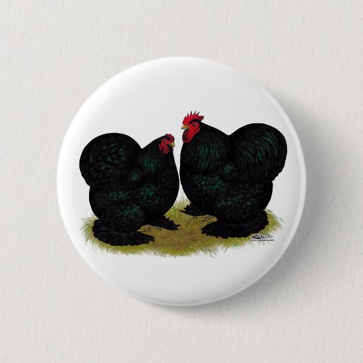 Badge Rond 5 Cm Cochins Black Bantam Paire (Devant)