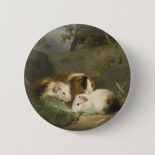 Badge Rond 5 Cm Cochons d'Inde (par George Morland) (Devant)