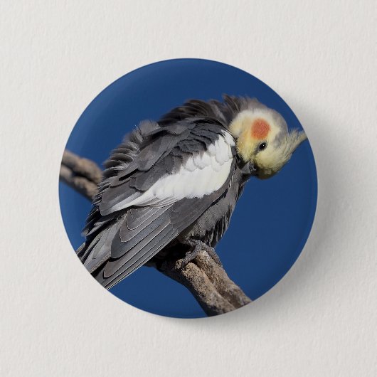 Badge Rond 5 Cm Cockatiel (Devant)