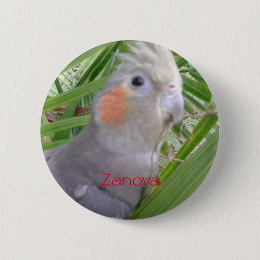 Badge Rond 5 Cm Cockatiel (Devant)