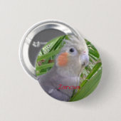 Badge Rond 5 Cm Cockatiel (Devant & derrière)