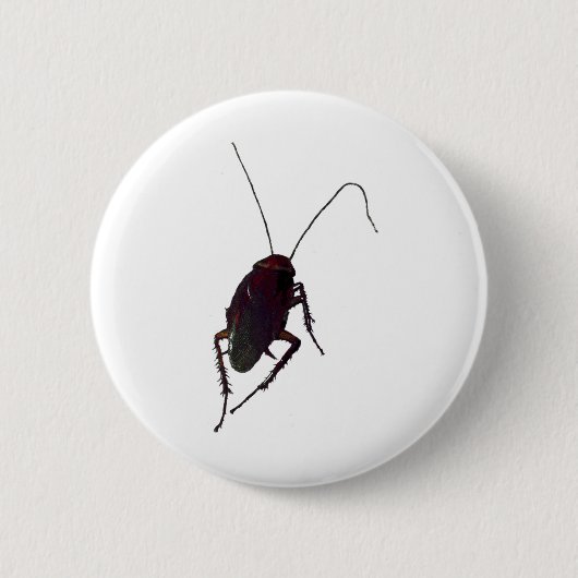 Badge Rond 5 Cm Cockroach croquant (Devant)