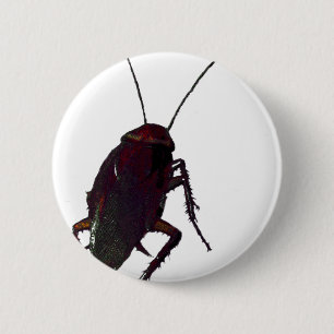 Badge Rond 5 Cm Cockroach croquant