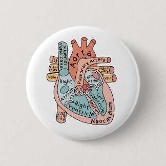 Badge Rond 5 Cm Coeur anatomique, soins infirmiers cardiaques