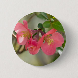 Badge Rond 5 Cm Cognassier à Fleurs Roses Glow