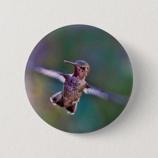 Badge Rond 5 Cm Colibri (Devant)