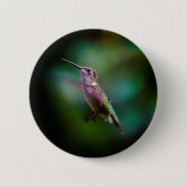 Badge Rond 5 Cm Colibri à gorge rubis - Photo originale (Devant)