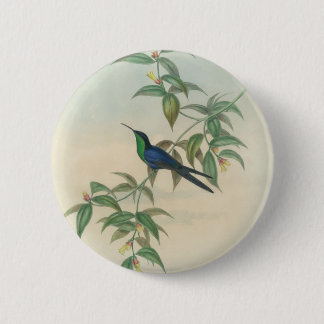 Badge Rond 5 Cm Colibri vert et bleu de Gould