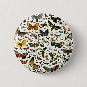 Badge Rond 5 Cm Collage des papillons de nuit et des papillons de 
