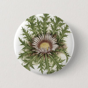 Badge Rond 5 Cm Collection argentée de chardon