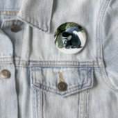 Badge Rond 5 Cm Colobus (En situation)