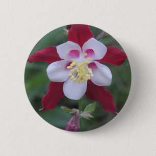 Badge Rond 5 Cm Columbine