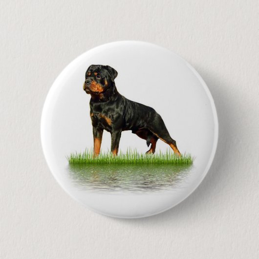Badge Rond 5 Cm Comte Antonii de Pasha (Devant)