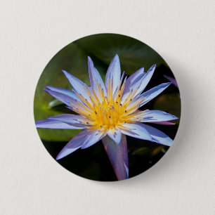 Badge Rond 5 Cm Conception botanique florale de nénuphar tropical