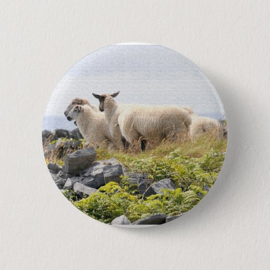 Badge Rond 5 Cm Conception risquée - Moutons dans un champ (Devant)