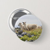 Badge Rond 5 Cm Conception risquée - Moutons dans un champ (Devant & derrière)