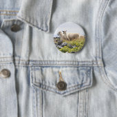 Badge Rond 5 Cm Conception risquée - Moutons dans un champ (En situation)