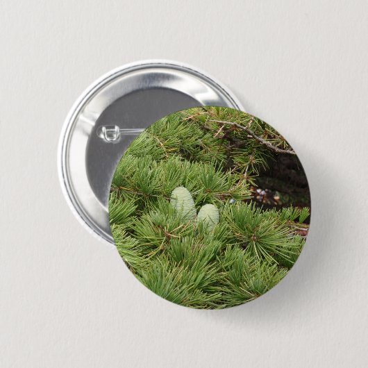 Badge Rond 5 Cm Cônes de pin (Devant & derrière)