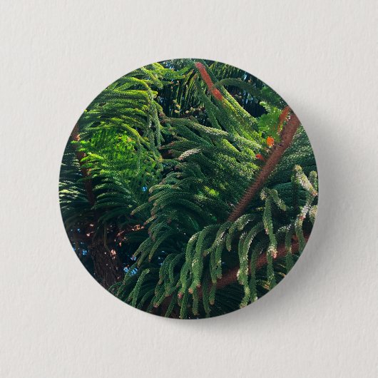 Badge Rond 5 Cm conifère à feuillage persistant de pin (Devant)