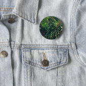 Badge Rond 5 Cm conifère à feuillage persistant de pin (En situation)