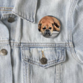 Badge Rond 5 Cm Continental Bulldog personnalisable (En situation)
