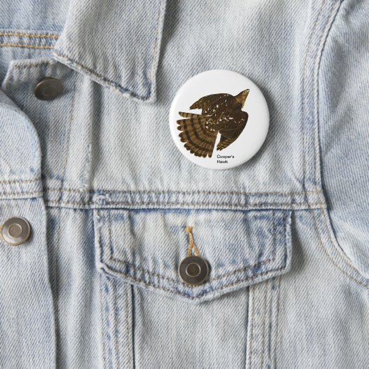 Badge Rond 5 Cm Cooper's Hawk par John James Audubon, Hawk Bird (En situation)