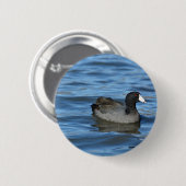 Badge Rond 5 Cm Coot américain (Devant & derrière)