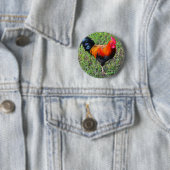 Badge Rond 5 Cm Coq-Un-griffonnage-Faites (En situation)