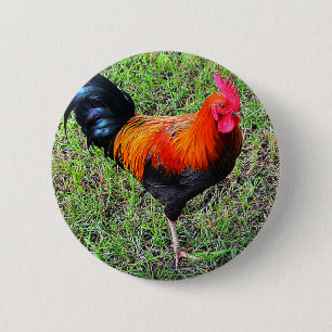 Badge Rond 5 Cm Coq-Un-griffonnage-Faites