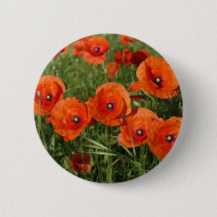 Badge Rond 5 Cm Coquelicots communs