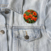 Badge Rond 5 Cm Coquelicots communs (En situation)