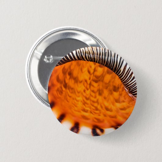 Badge Rond 5 Cm Coquillage hypnotique (Devant & derrière)