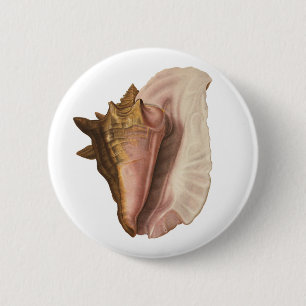 Badge Rond 5 Cm Coquille de coquillage Queen Conch vintage, animal
