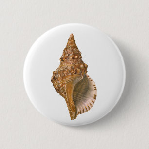 Badge Rond 5 Cm Coquille de coquillages de Triton vintage, animal 