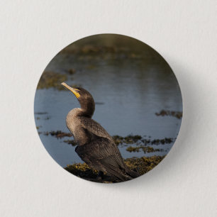 Badge Rond 5 Cm Cormorant à double poitrine